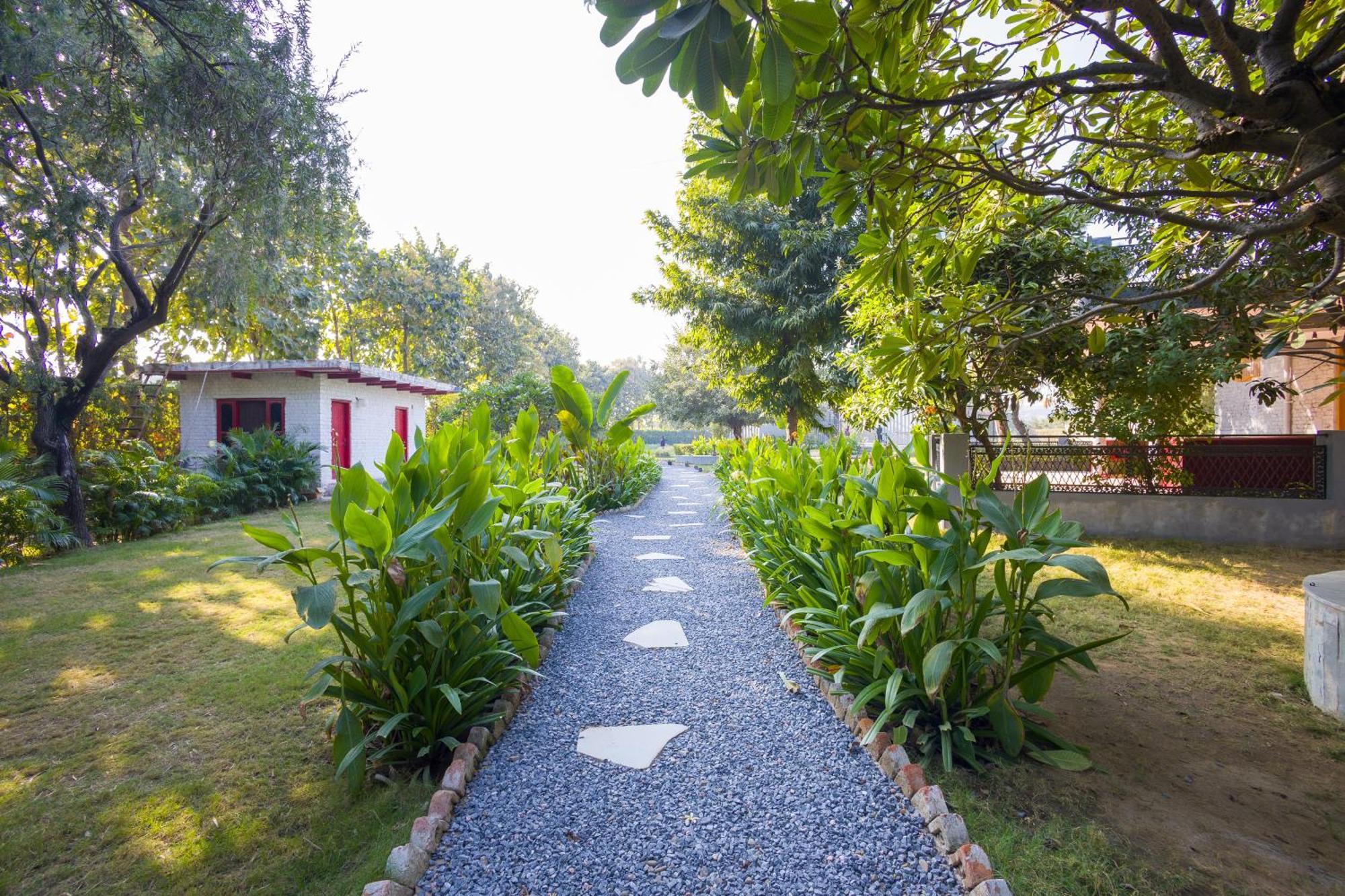 Dhauj Elivaas Hidden Oasis 4Bhk With Pool, Mud House & Container House 빌라 외부 사진